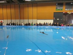 Messe Wels 2017