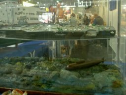 Messe Wien 2004