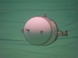 Messe Wien 2010