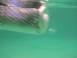 Messe Wien 2010