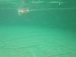 Messe Wien 2010