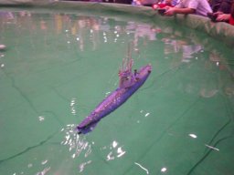 Messe Wien 2010
