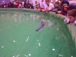 Messe Wien 2010