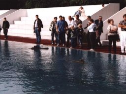 Neulengbach 2001