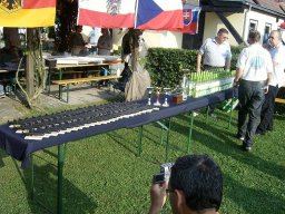 Neulengbach 2009