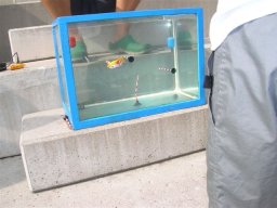 Neulengbach 2009