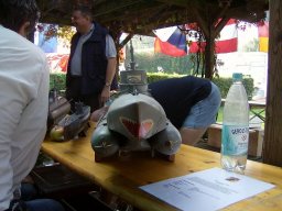 Neulengbach 2009