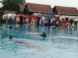 Neulengbach 2011