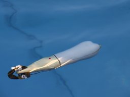 Neulengbach 2011