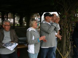 Neulengbach 2013