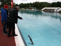 Neulengbach 2017